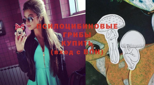 таблы Алексеевка