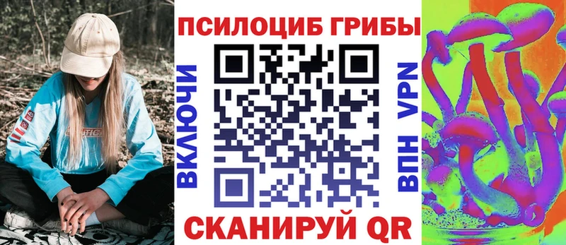 Псилоцибиновые грибы Psilocybine cubensis  где можно купить наркотик  Уржум 